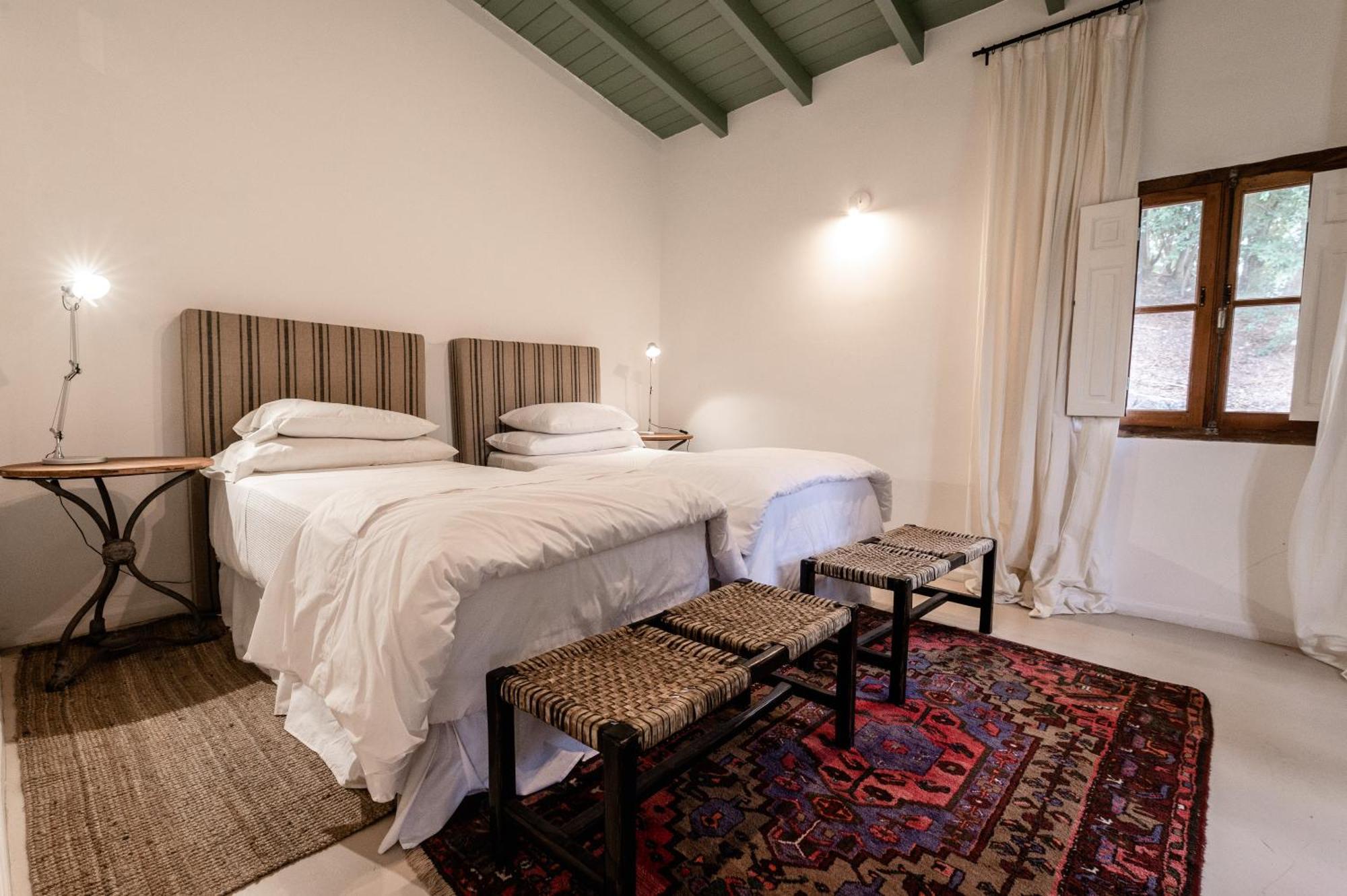 Scratch House Hotel Boutique Villa Allende Exterior photo